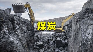 Than đá có hình thành từ thực vật không? Cần bao nhiêu cây chết để tạo thành một mỏ than dày hàng ng