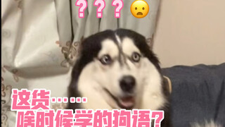 On the Importance of Mastering a "Foreign Language"