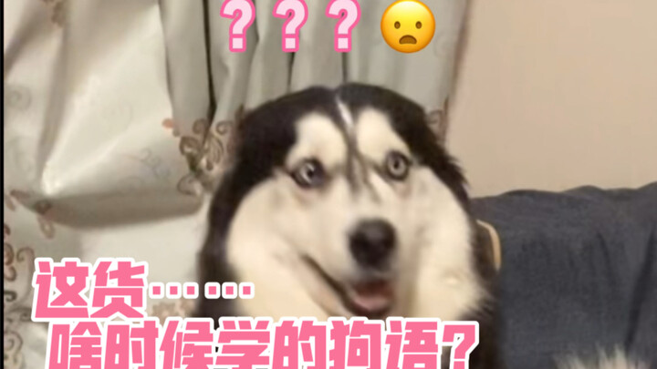 On the Importance of Mastering a "Foreign Language"