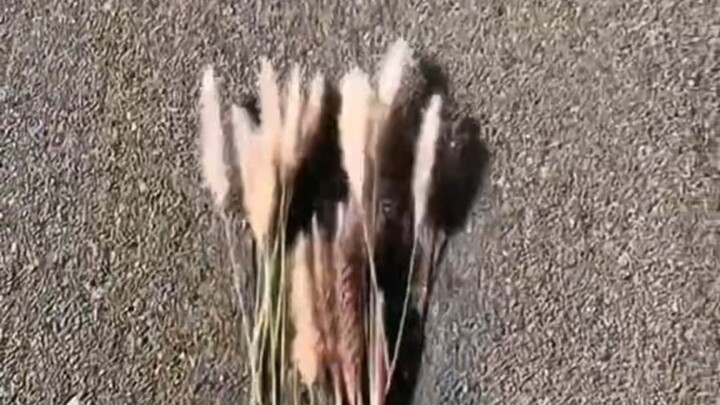 Những tâm hồn thú vị luôn biết cách tìm thấy niềm vui.