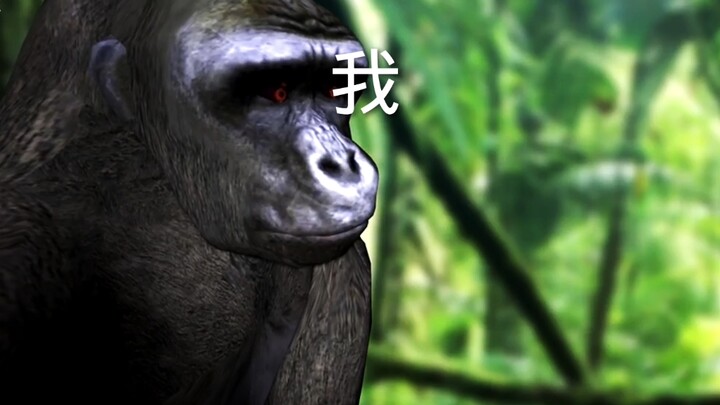 当我试图作死加入一堆模组的时候