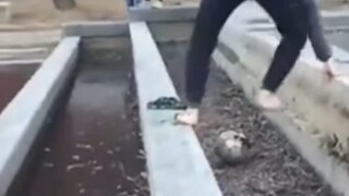 Membunuh dengan pujian, tertawa setiap kali menonton