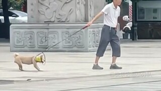 没错，我精神不正常