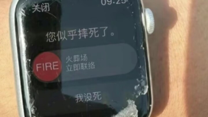 I fell down, but there's no need to go this far, right?