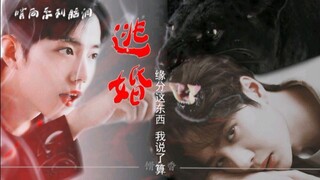 【Bo Jun Yi Xiao】【Mixed Cut】【Sentry】Escape from Marriage (Episode 10) Completed
