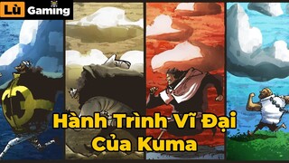 Tóm Tắt Toàn Bộ Quá Khứ Của Kuma Trong 17 Phút !!