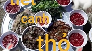 Ẩm thực Biển làm. Thịt thỏ bốn món.cách hãm tiết canh thỏ bằng muối đông cứng luôn.