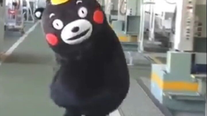 Fun Fact: Japan’s Full of Bears—Except for Kumamoto!