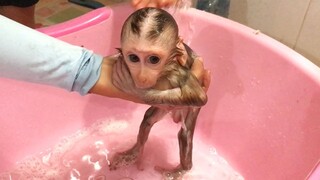 Awesome Baby Mino Sucking Finger Take The Bath