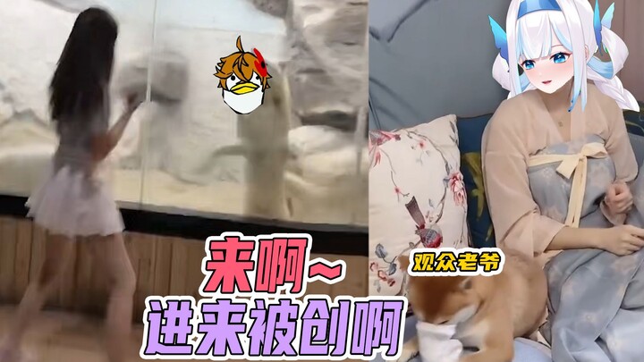 Genshin Impact Fan Creation (×) This Is Street Dance (√)