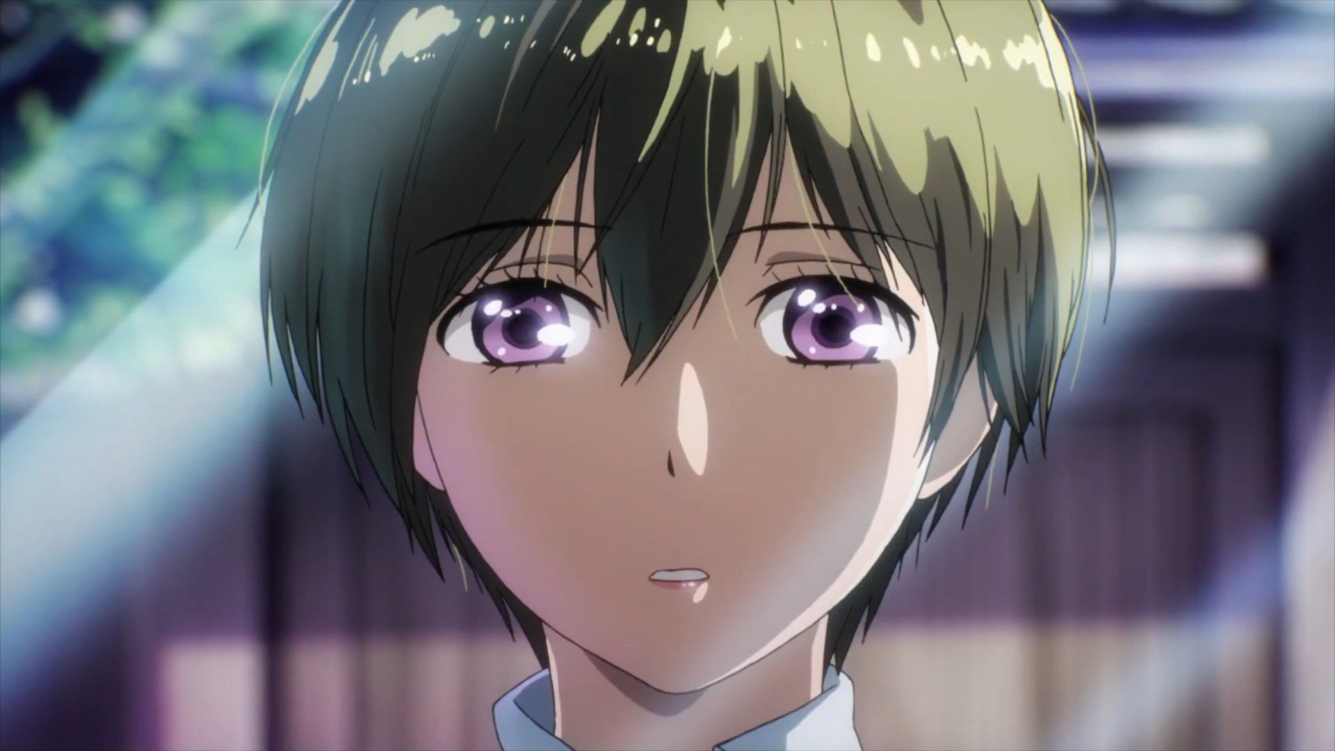 Anime Corner - Bokura wa Minna Kawaisou Episode 1-5 General catch up/Review  *Tied up with spoilers* I bet some of you guys we're hoping for this to be  reviewed and well, here