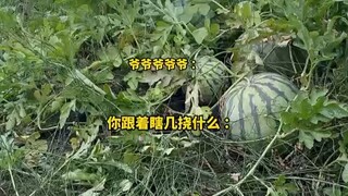 别敲了，里面没人