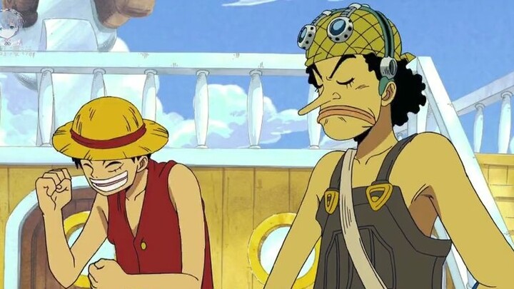 One Piece: The crew members were ridiculed by the idiot captain, Robin twice, and Zoro the most!