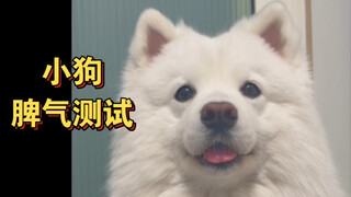 Challenging to be the nicest person on the entire internet