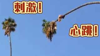 卧槽？玩的就是心跳？