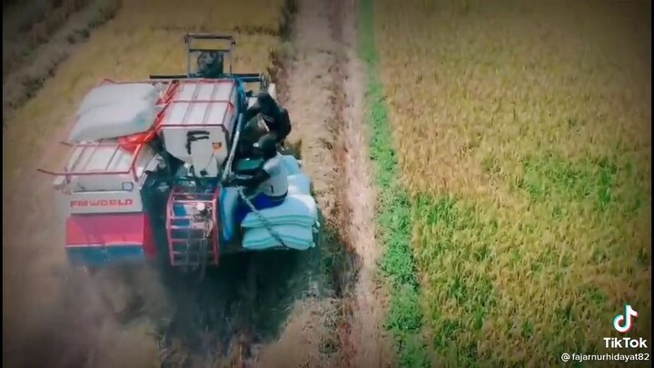 Petani Marhaen Milenial