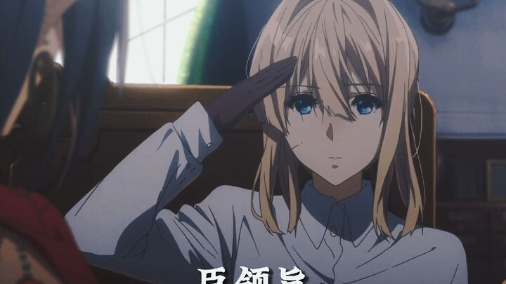 Wei Chen leads the decree 8