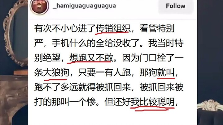 Daily Divine Reply: Outrageous... The dog is having such a hard time...