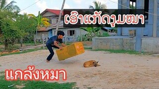 แกล้งหมา เกือบโดนหมากัด