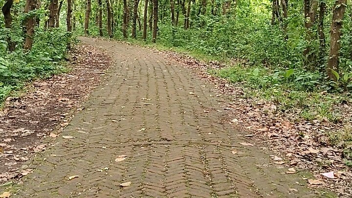 Gazipur Salbon