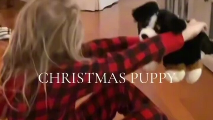 Khi quà Giáng Sinh hóa thành một chú cún thật sự!
