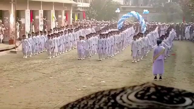 স্কাউট দল