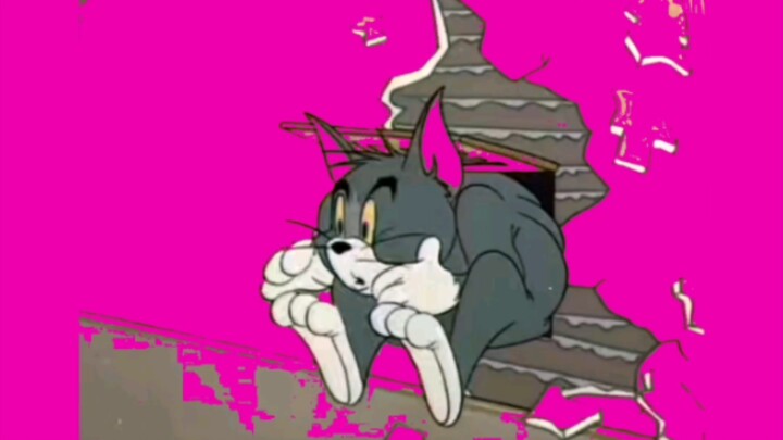 Rabbit Hole, but Tom and Jerry