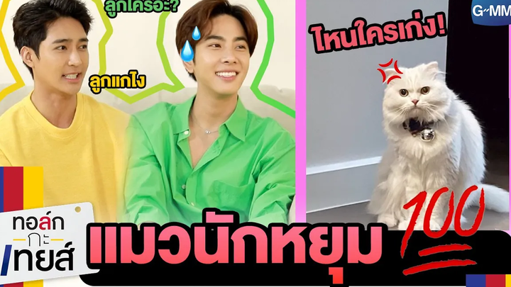 สมหมาย = แมวนักหยุม ทอล์ก-กะ-เทยส์