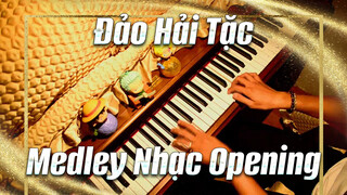 Đảo Hải Tặc Opening Medley! Bạn Biết Bao Nhiêu Bài? Kỷ Niệm Thời Kỳ Cũ Của Đảo Hải Tặc