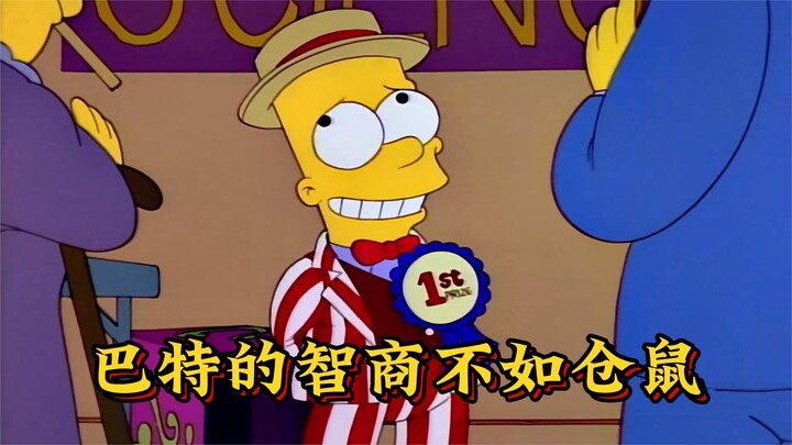 辛普森一家：巴特的智商不如一个宠物仓鼠
