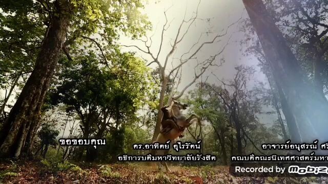 ช่อง7HD