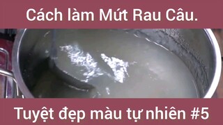 Cách làm mứt rau câu tuyệt đẹp màu tự nhiên phần 5