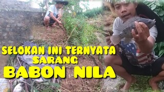 CARA MANCING DI SELOKAN SAWAH MENGEJUTKAN