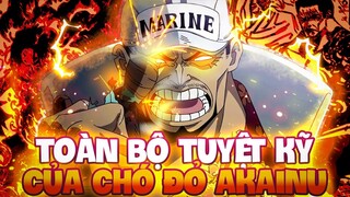 TOÀN BỘ CHIÊU THỨC CỦA SAKAZUKI?! | BỘ TUYỆT KỸ CỦA SAKAZUKI BÁ ĐẠO CỠ NÀO?