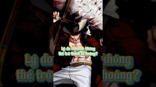 Lý do Mihawk không thể trở thành tứ hoàng là gì?