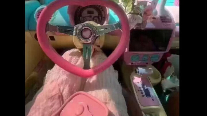 Chiếc xe Beetle của cô nàng này thật thảm 😭
