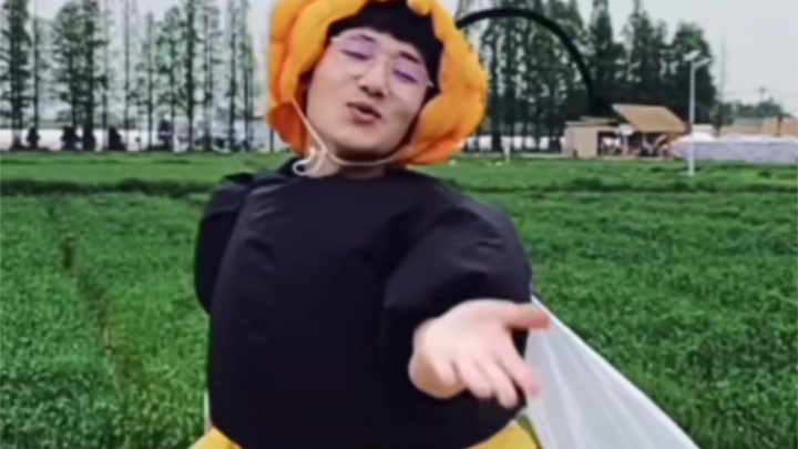 【Mười ngày vất vả】Phiên bản mới của Golden Wind và Jade Dew đã có mặt🤭