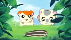 Hamtaro Episode 01 Hamtaro