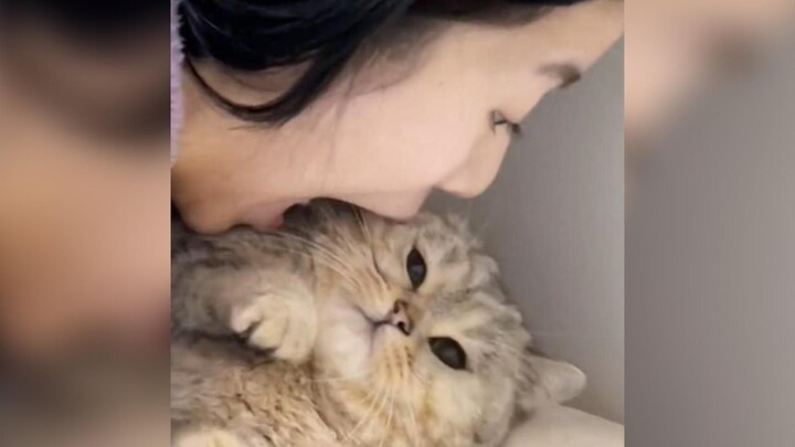 “Ada anjing, siapa itu saya tidak akan bilang”