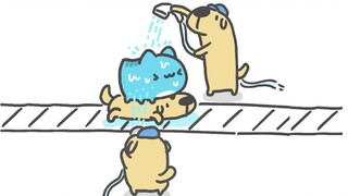 咖波来体验狗狗的全自动洗澡工厂