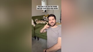 Have you met a dog who doesn’t react to the word DINNER? Meet Skye 💁🏻‍♀️