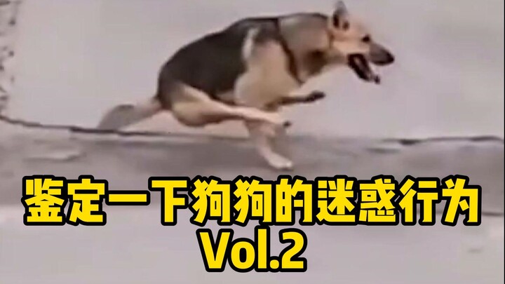 [Dog Life Mentor] Decoding Your Dog’s Confusing Behavior Vol. 2