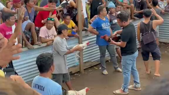 wlang sugat Pula vs Talisayin