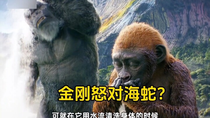 Does the Vajra Clash with the Sea Serpent?