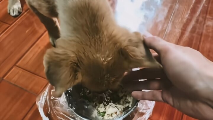“Vẫn đánh nhẹ quá rồi”