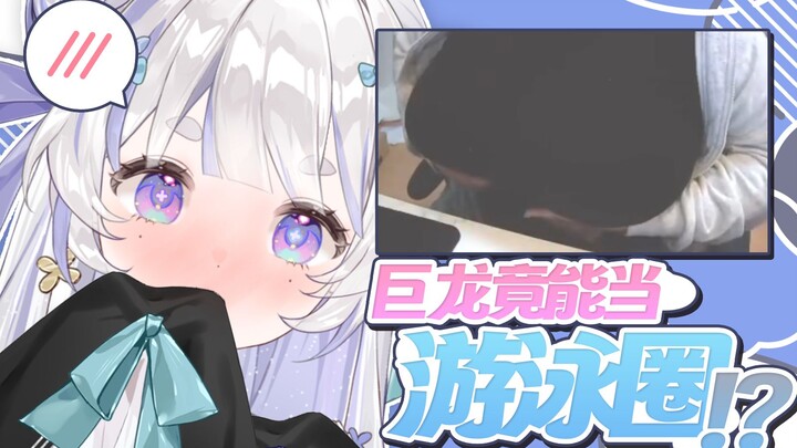 浮力十足？夏天出汗？关于巨龙，解释一切你想知道的（上）【天占milo_O】