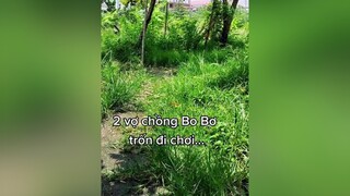 Thế này thì có phạt ko cả nhà ơi? cunyeucuadua yeucho yeuchomeo cún cúncon chó chómèo chócon chókhôn yeuchomeo chócute pet dog