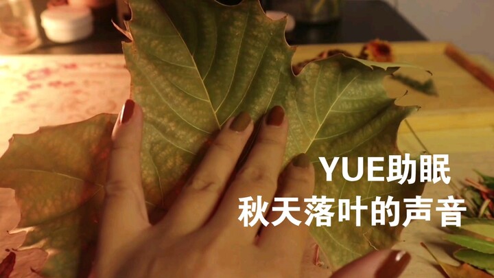 【YUE Giúp Ngủ】Tiếng lá rơi vỡ vụn, tiếng mưa rơi, âm thanh chà xát chậm rãi – âm thanh không lời, đắ