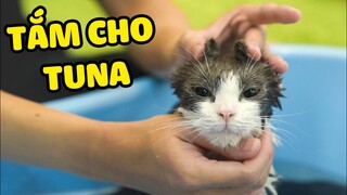 Tuna sợ tắm như thế nào? | The Happy Pets #53