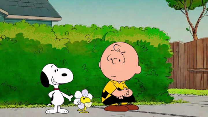 Snoopy đã làm việc rất chăm chỉ để trở thành ninja.